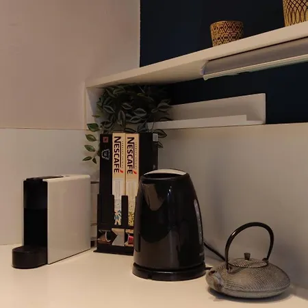 Apartment De Charme 1860-1900 *