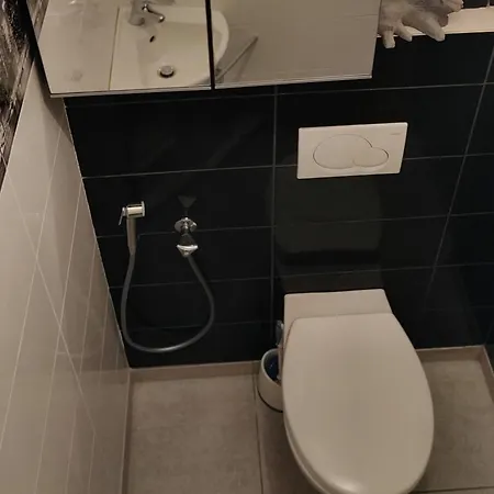 Apartment De Charme 1860-1900 *