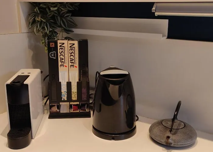 De Charme 1860-1900 Appartement