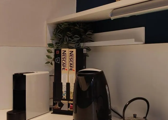 Appartement De Charme 1860-1900 *