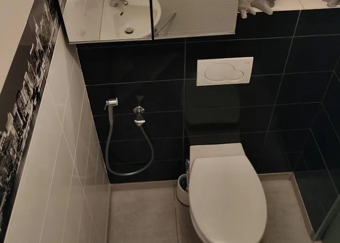 Appartement De Charme 1860-1900 *